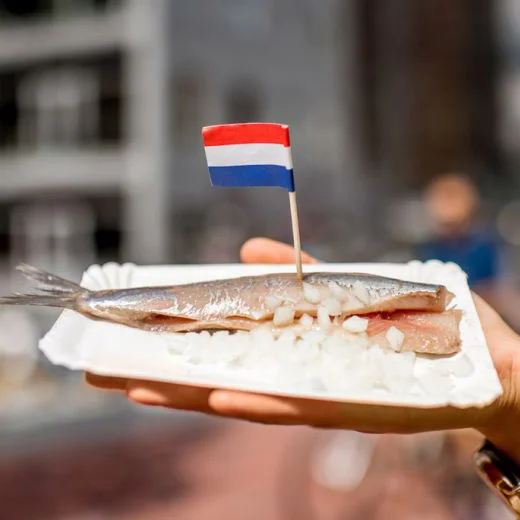 Fresh Dutch herring